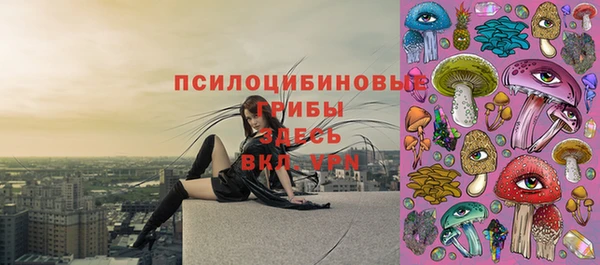 МДМА Арсеньев