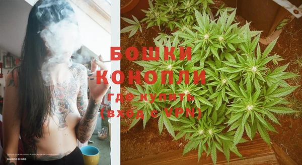 PSILOCYBIN Осташков