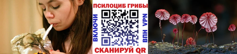 Псилоцибиновые грибы Psilocybe  Певек 